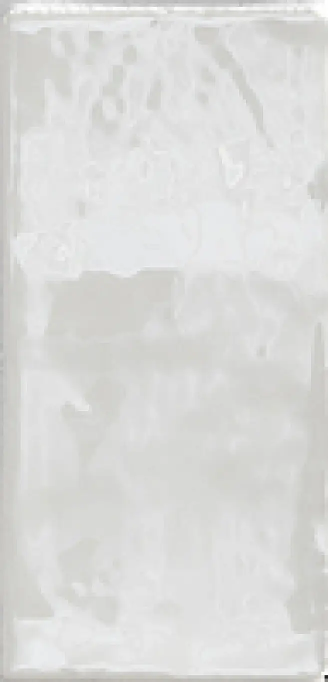 4100363 41ZERO42 Hops