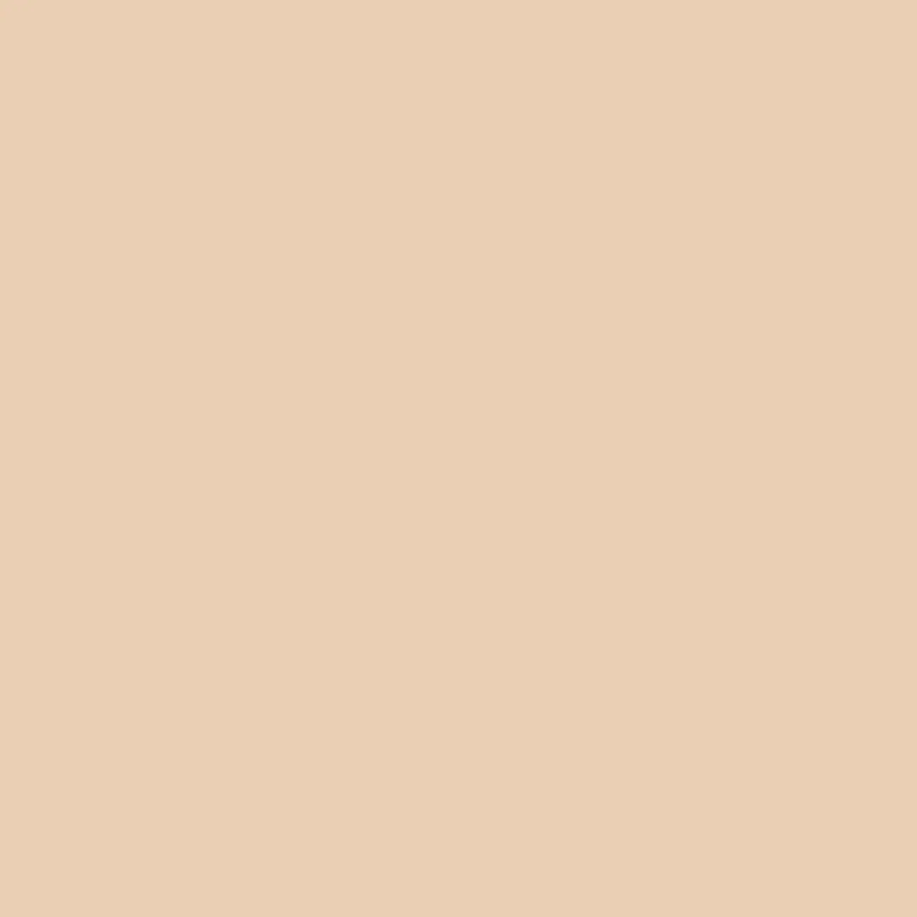 4100809_11 Powder 41ZERO42 Pixel41