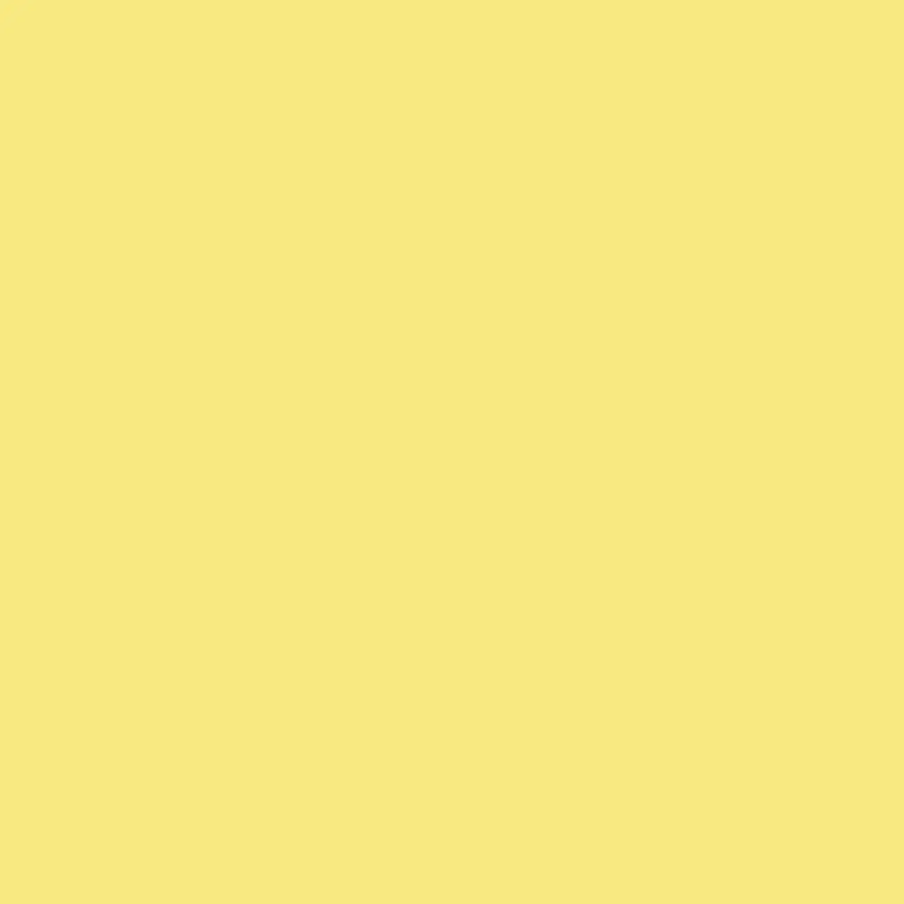 4100814_16 Lemon 41ZERO42 Pixel41