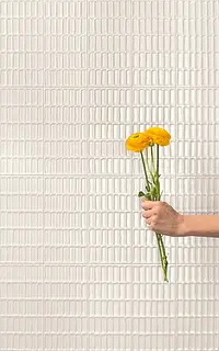 Background tile, Color white, Ceramics, 12.5x25 cm, Finish glossy