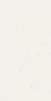 4101027_SCW Polished 41ZERO42 Superclassica SCW