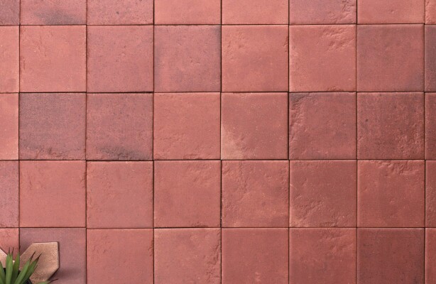 IMG#1 Adobe by Cevica