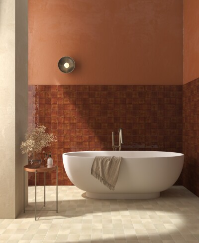 IMG#5 Adobe by Cevica