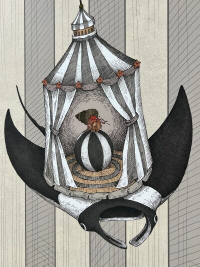 IMG#4 Searcus by Ceramica Bardelli