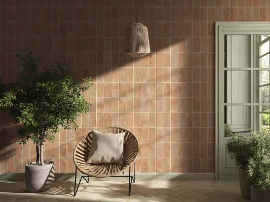 IMG#1 Adobe by Cevica