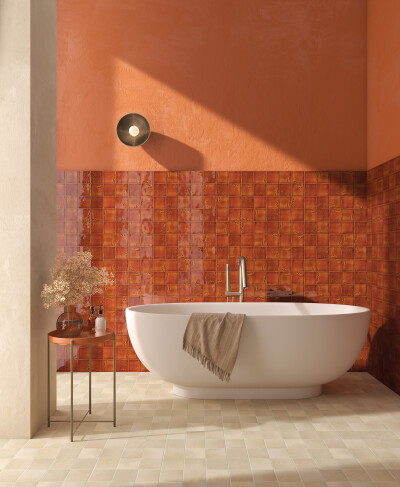 IMG#3 Adobe by Cevica