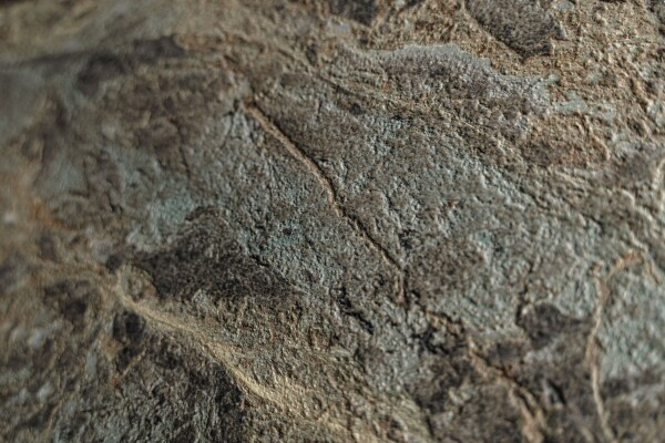 IMG#4 Savage by Museum Surfaces