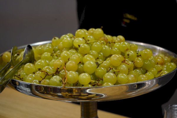 IMG#2 Del Conca van zXz A Glance at Appetizers at Cersaie Stands ;)