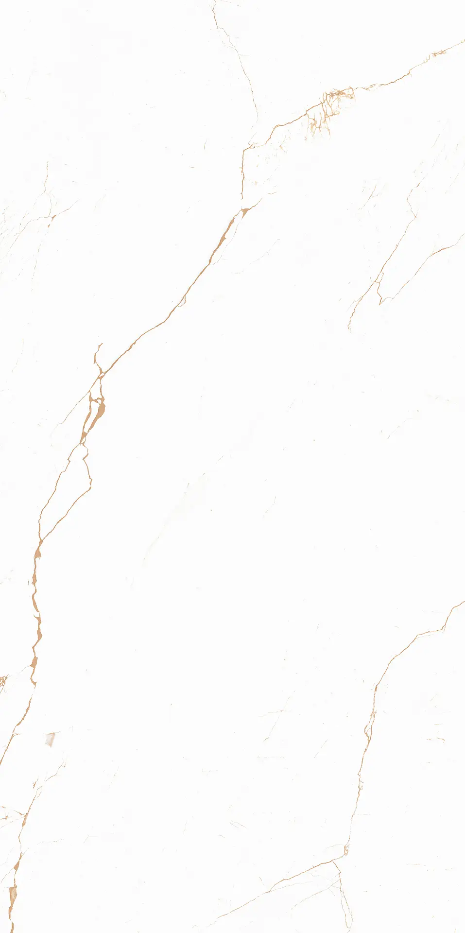 PF00021829_MARBLE 60119 BIANCO TECH RET Abitare Marble