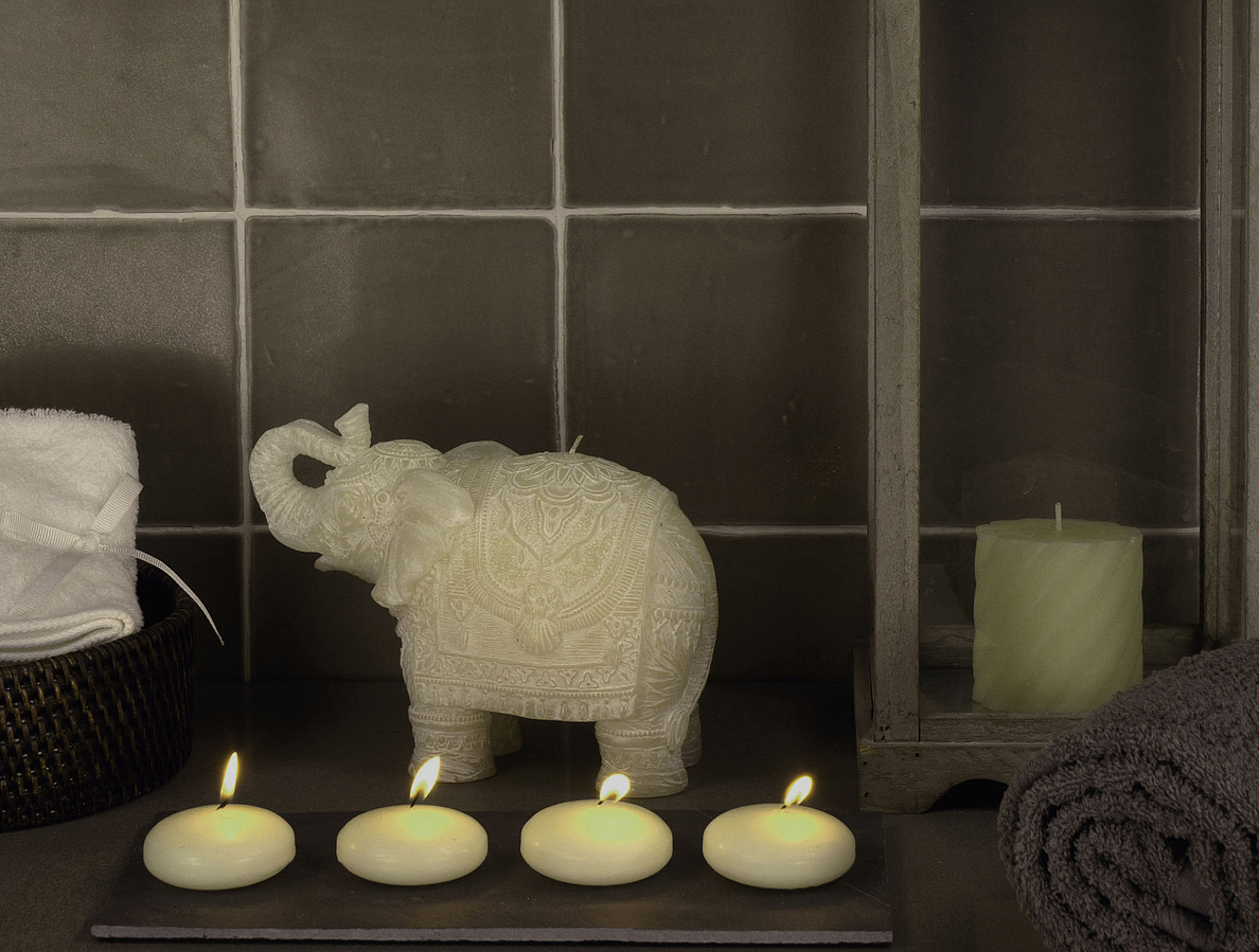 Nature (ADEX)-Adex-7Bathroom, Kitchen, 3D effect effect, Ceramic Tile, wall, Matte surface, Glossy surface, non-rectified edge, Shade variation V1