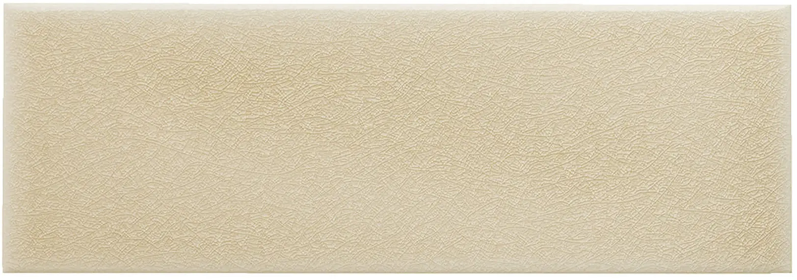 ADOC1007_ADM18_LISO_SAND_DOLLAR Adex Ocean