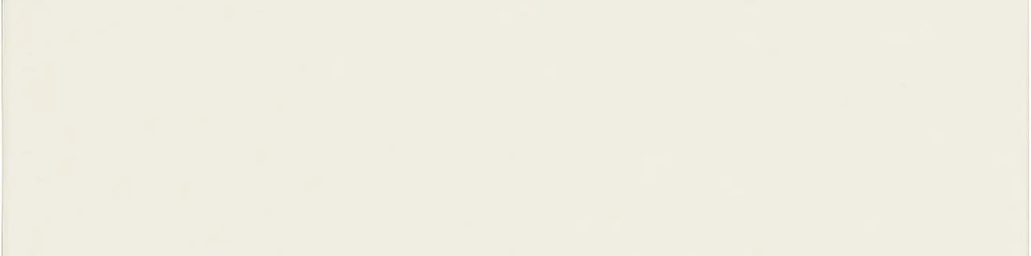 ADST1036_LisoBamboo4,9 X 19,8 Adex Studio