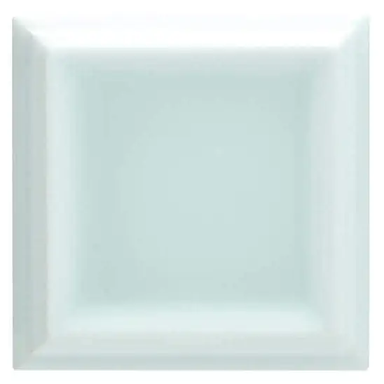 ADST1069 Liso Framed Fern 7.3 X 7.3 Adex Studio