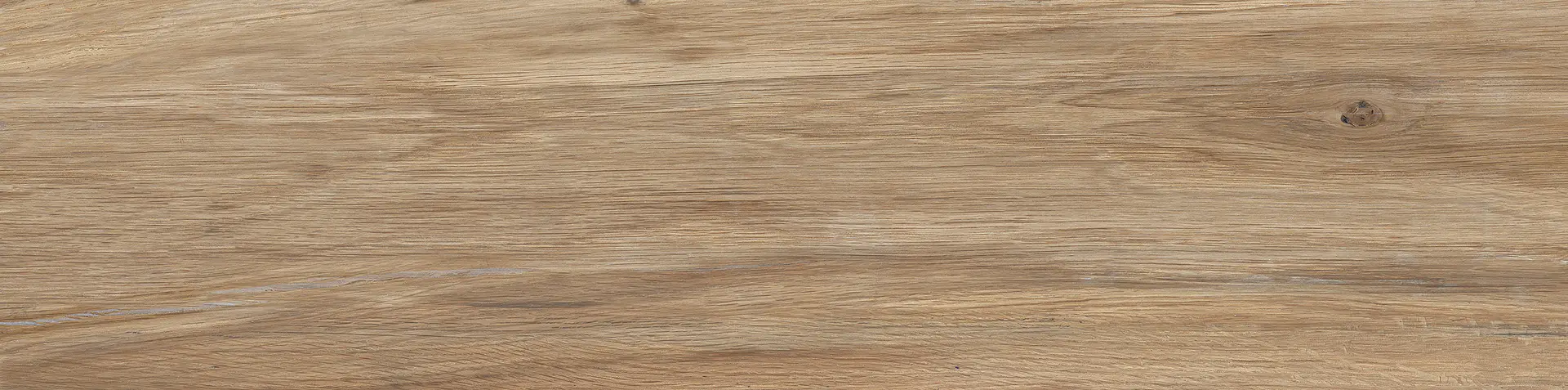 P9082C2 CASTAGNO RET Aleluia Bosco