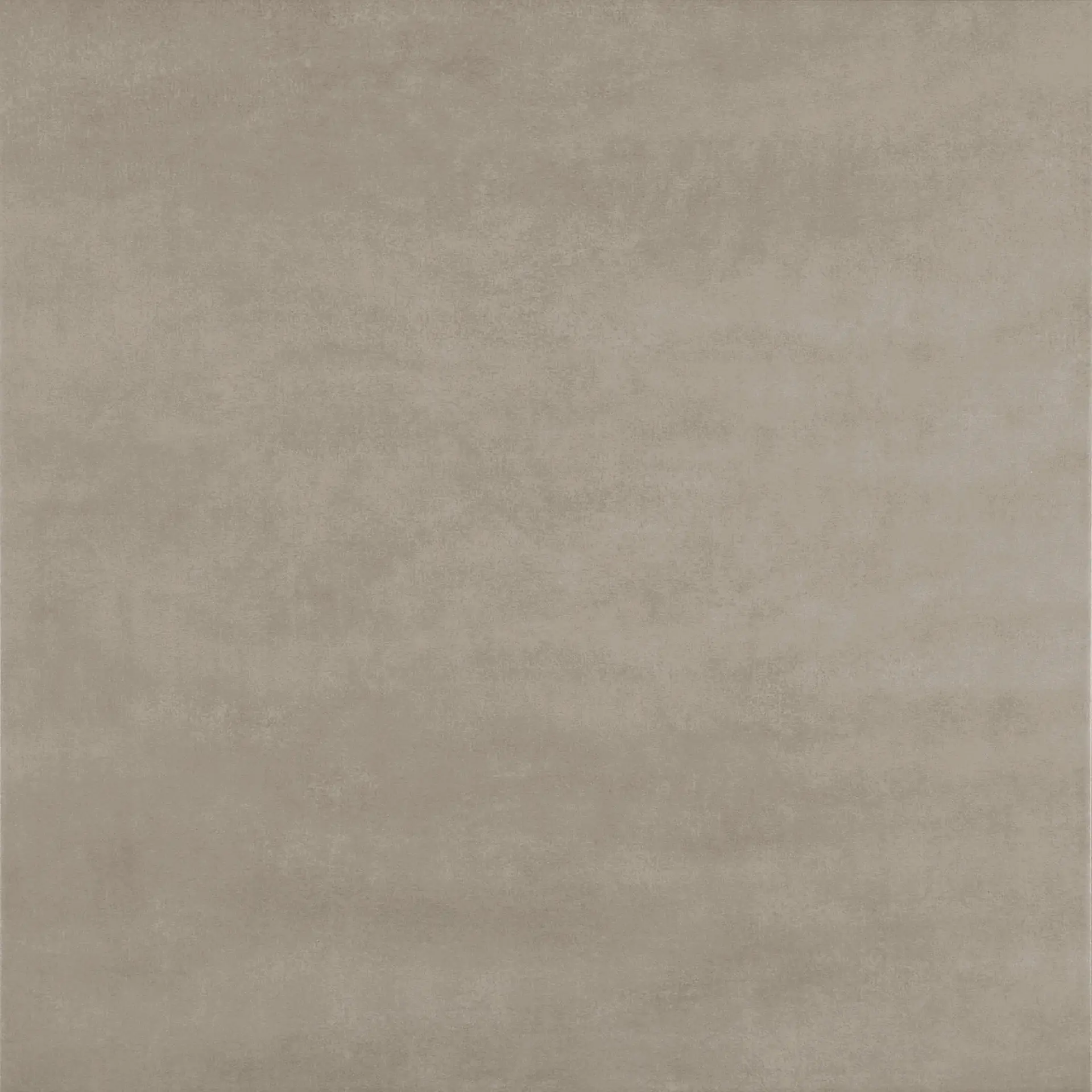 C417_Camel Aleluia Krea