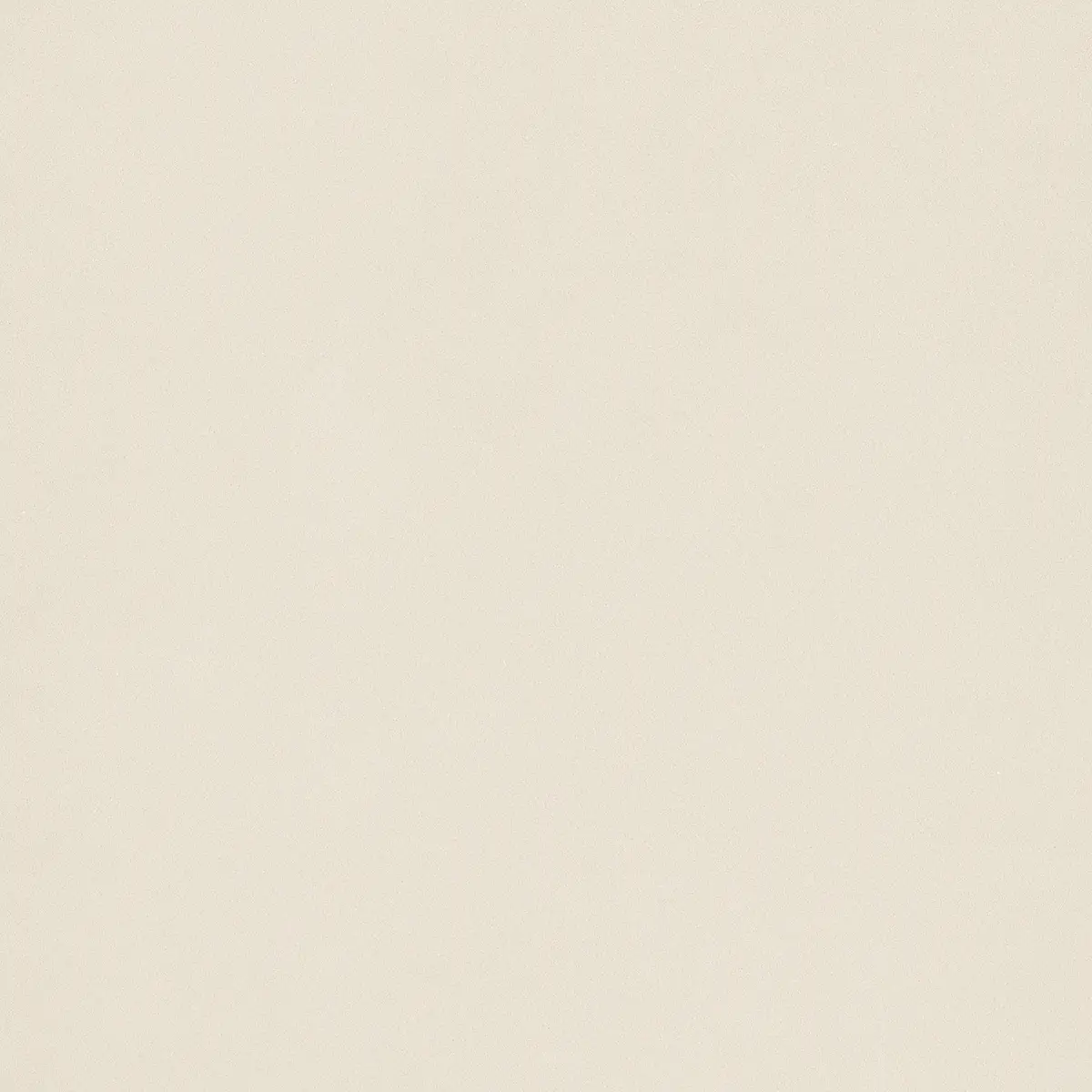 T202655__PastelliProCamelia Alfalux Pastelli Pro