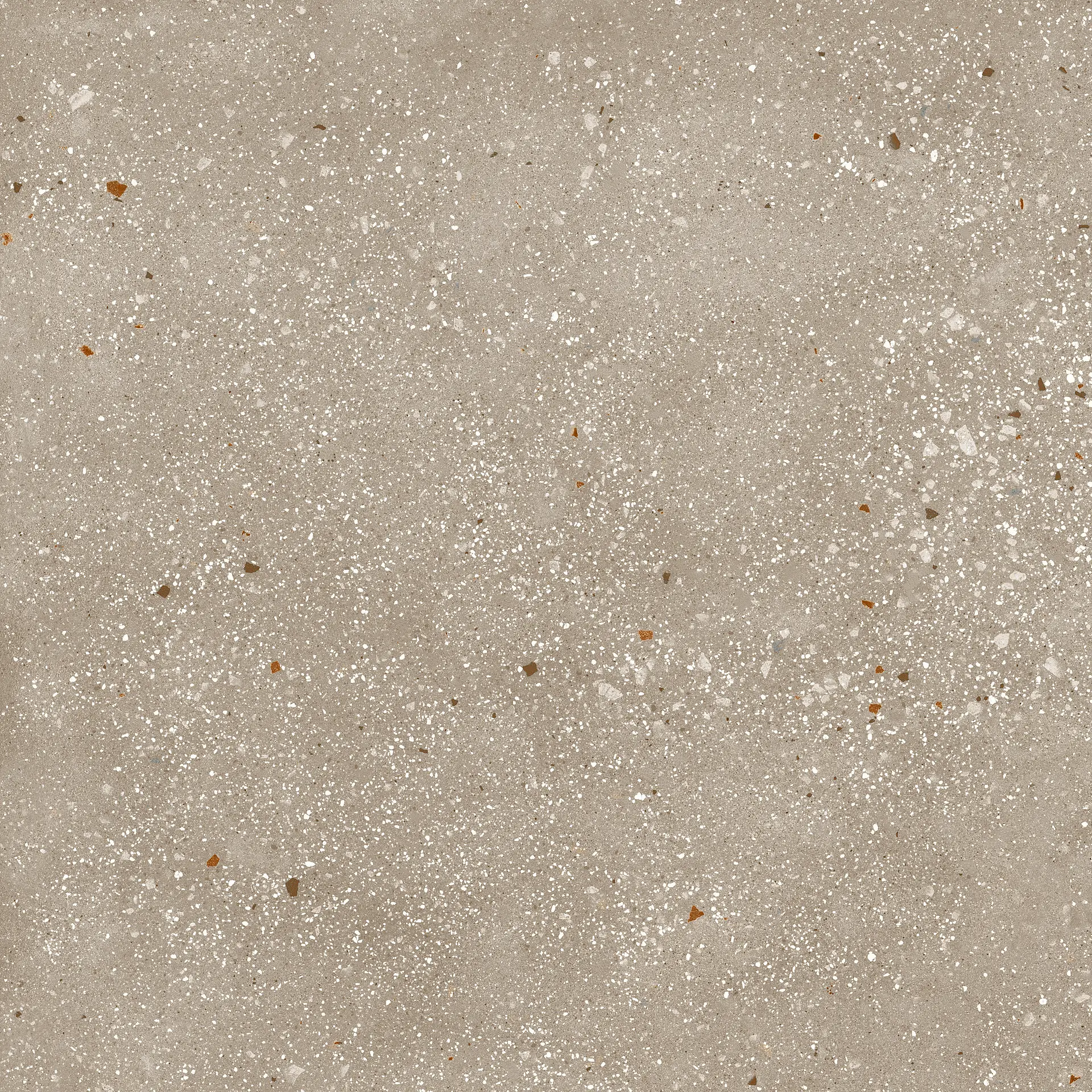 A039072_Tortora Ape Ama