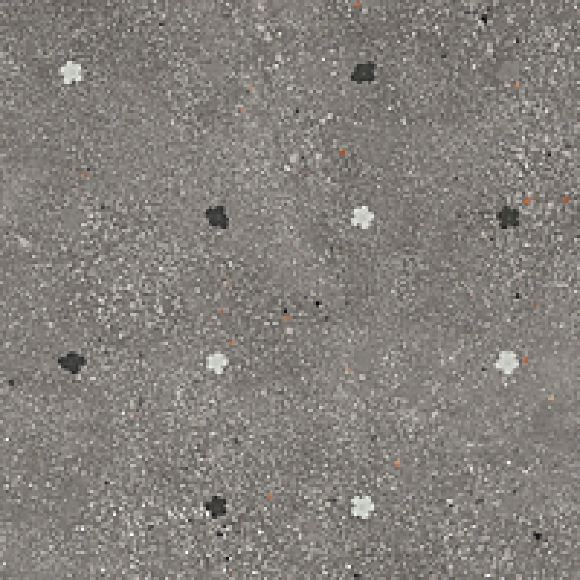 A039159_FioriGraphite Ape Ama