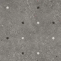 A039159_FioriGraphite Ape Ama