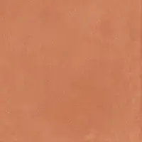 A037683_Coral_anti-Slip_rect Ape Argillae