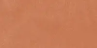 A037693_Coral_anti-Slip_rect Ape Argillae