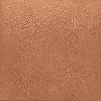 A037697_Nisus_coral_nat_rect Ape Argillae