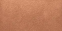 A037703_Nisus_coral_nat_rect Ape Argillae
