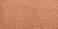 A037715_Nisus_coral_nat_rect Ape Argillae