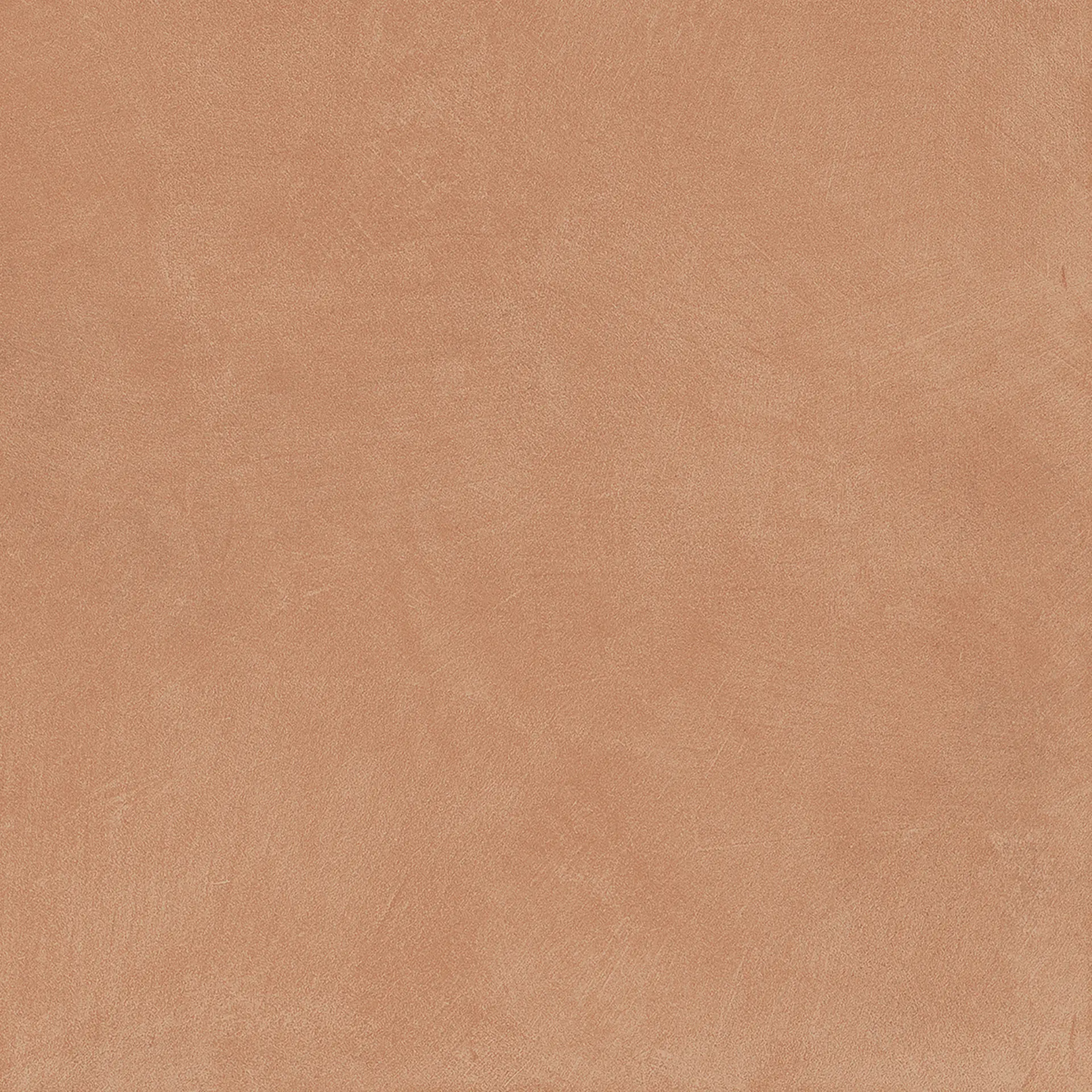 A037680_Gobi_nat_rect Ape Argillae