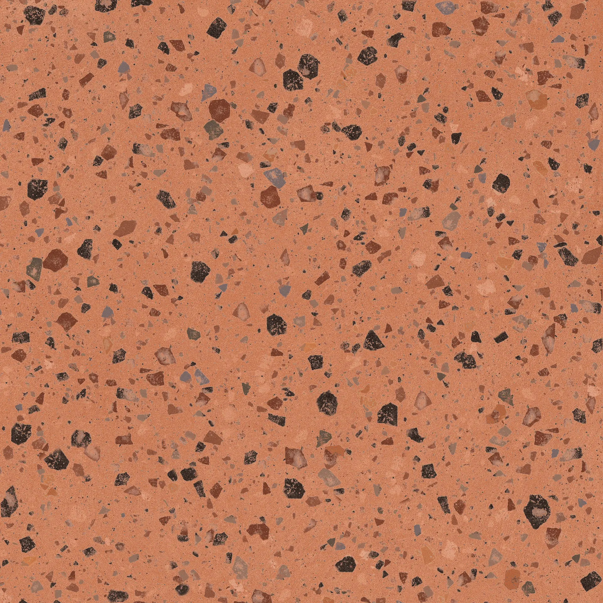 A038070_Coccio_coral_rect Ape Argillae