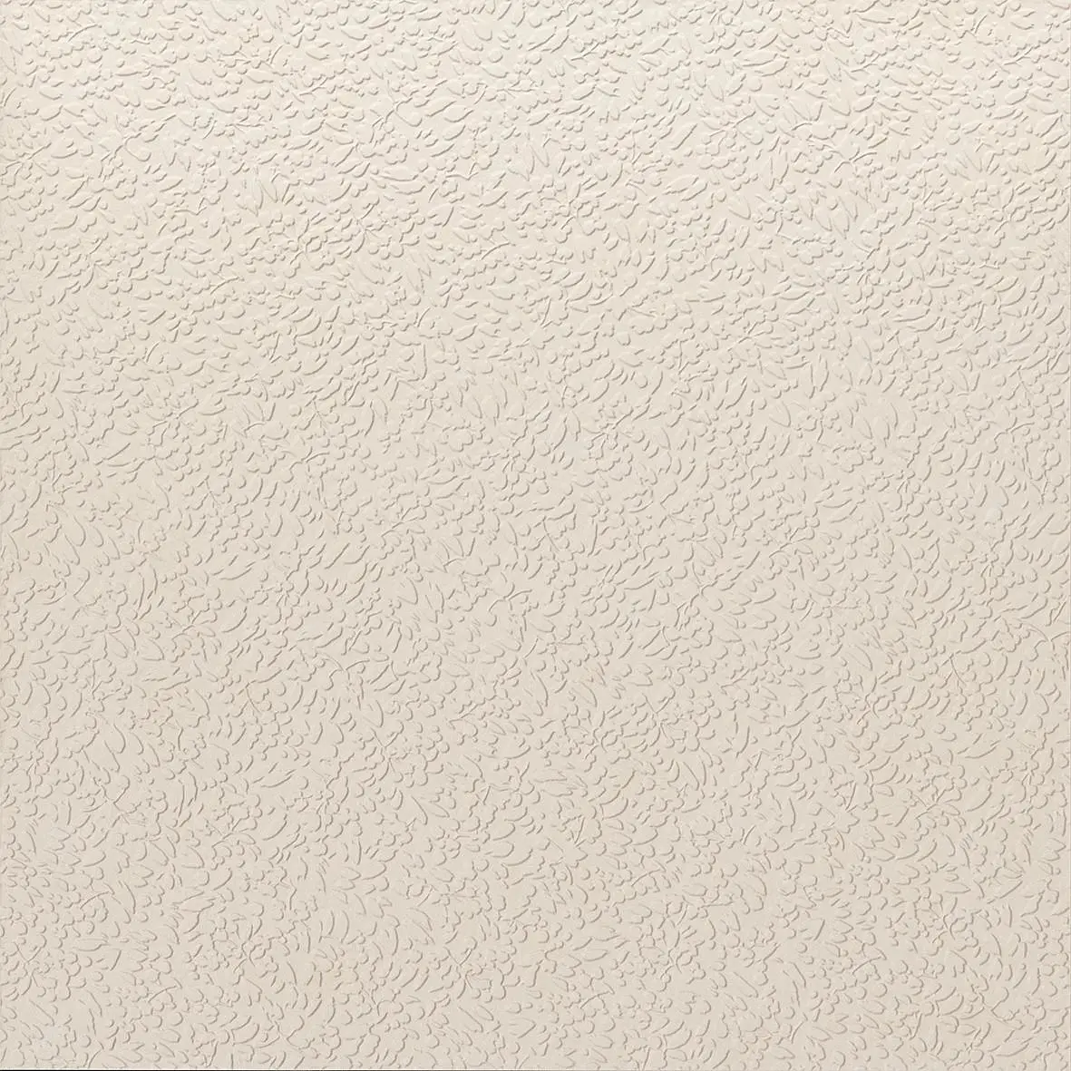 A037701_Nisus_neve_nat_rect Ape Argillae