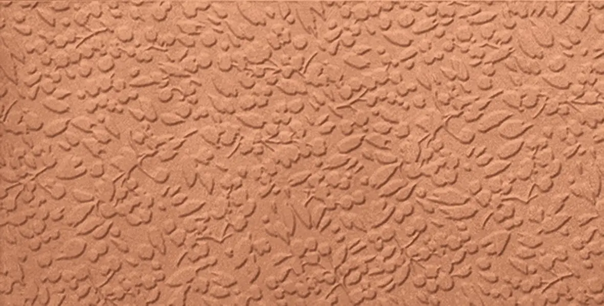 A037715_Nisus_coral_nat_rect Ape Argillae