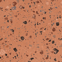 A038073_Coccio_coral_rect Ape Argillae