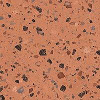 A038073_Coccio_coral_rect Ape Argillae
