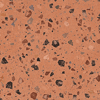 A038073_Coccio_coral_rect Ape Argillae