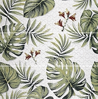A032653_DecorSet(3)_Exotica Ape Click