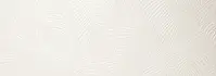 A034528_Kentia_white_rect Ape Crayon