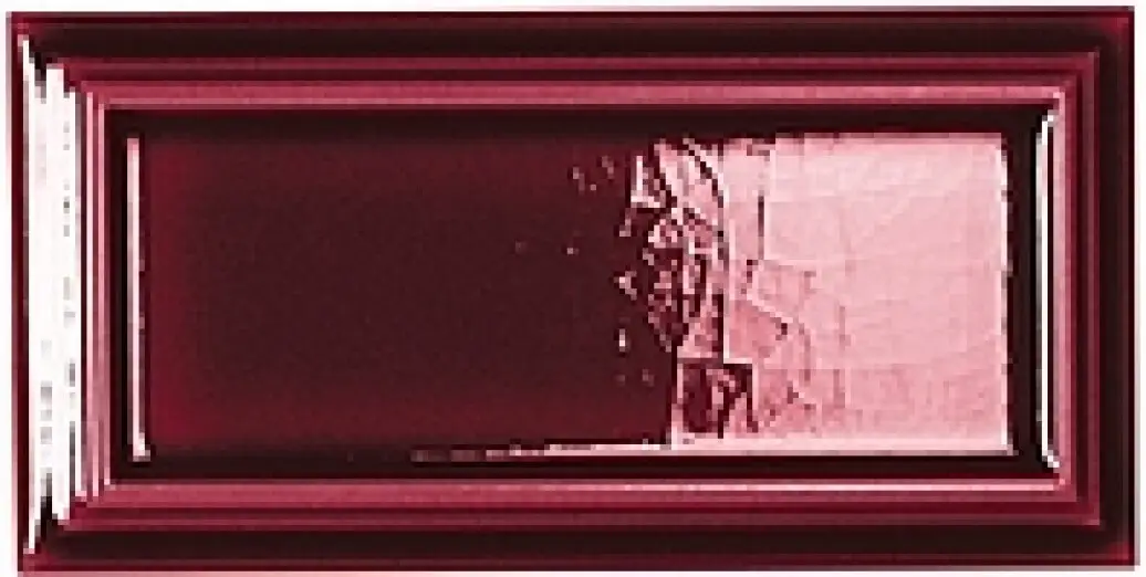 A036690_Orient_cherry_crack Ape Hamptons