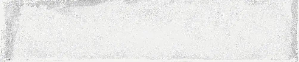 A038441_Savannah_white Ape Savannah