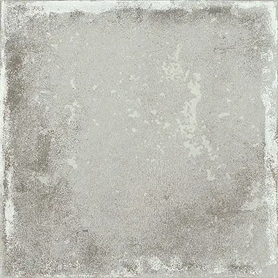 A038445_Savannah_grey Ape Savannah