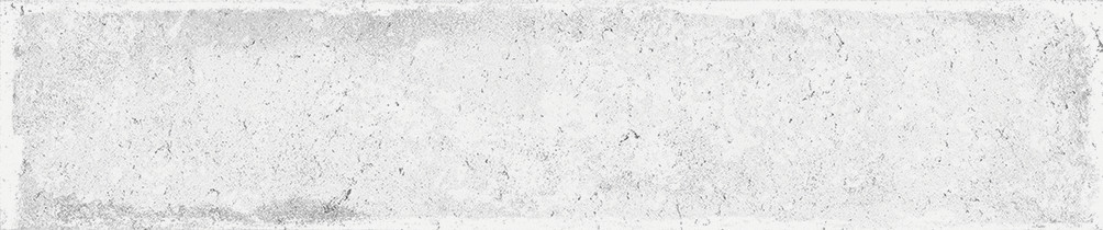 A038441_Savannah_white Ape Savannah