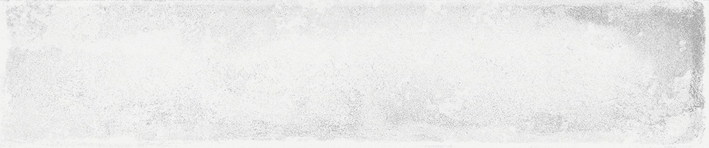 A038441_Savannah_white Ape Savannah