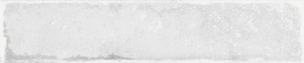 A038441_Savannah_white Ape Savannah