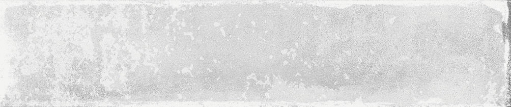 A038441_Savannah_white Ape Savannah