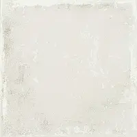 A038444_Savannah_white Ape Savannah