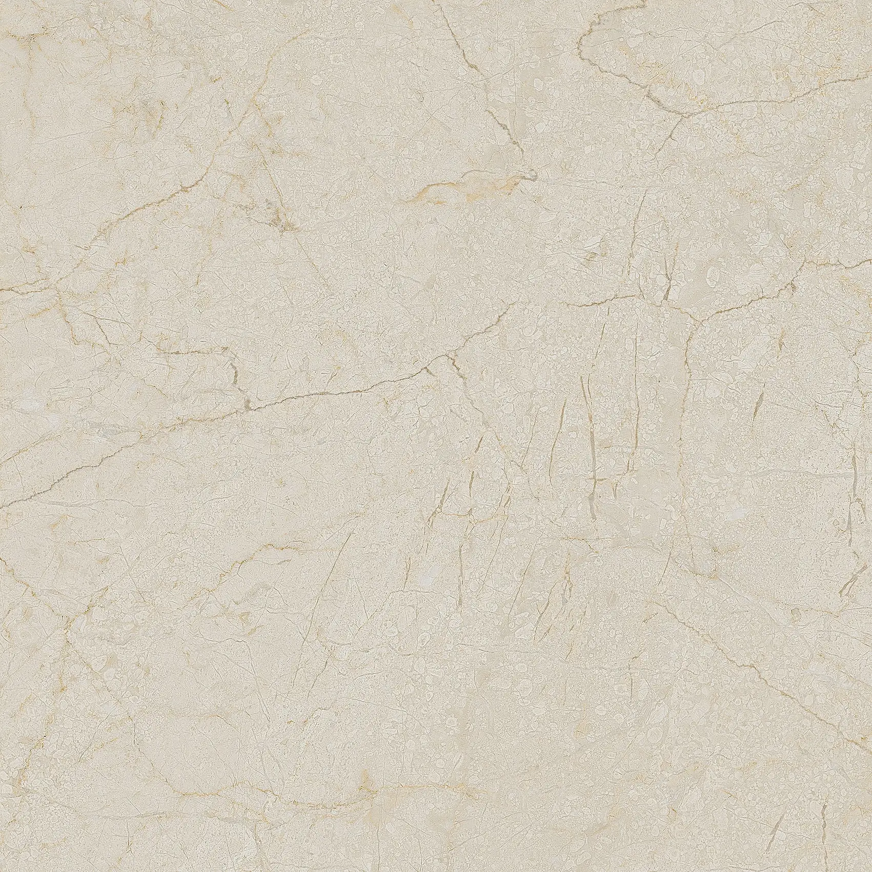 Cream-R Dune Arcana Black&Cream