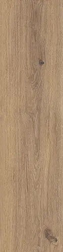 Armonie Ceramiche, I Legni, 0698014_NaturalWalnut