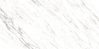 CC05094R_ByronApuanoRet Ascot Byron