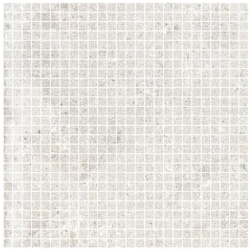 Ascot Ceramiche, Signature Stone, 02DSSMA10_SignatureStoneMos.AnticatoWhiteT.1*1