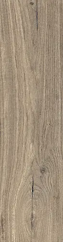 Ascot Ceramiche, Signature Wood, DSW3040_SignatureWoodTaupe